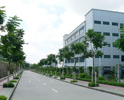 园区道路