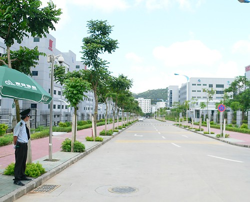 园区道路