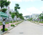 园区道路