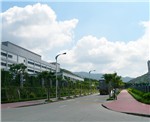园区道路